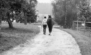 Spaziergang mit dem Pferd